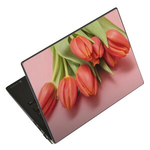 m[gp\R XLV[ 17C`܂őΉ ėpXebJ[ 2Zbg LAVIEp FMVp LIFEBOOKp Dynabookp Lenovop Thinkbookp IdeaPadp HPp Pavillonp ENVYp Elitep Dellp Vostrop Inspironp VAIOp 023309 