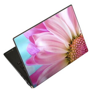 m[gp\R XLV[ XebJ[ \2Zbg \e1Zbg ǂ炩Iׂ NEC LAVIEp N1515 N1530 N1535 N1555 N1565 N1570 N1573 N1575 N1585 N153C N156D N157C LAVIE Smart N15 LAVIE Direct N15