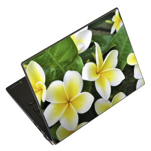 m[gp\R XLV[ XebJ[ \2Zbg \e1Zbg ǂ炩Iׂ NEC LAVIEp N1515 N1530 N1535 N1555 N1565 N1570 N1573 N1575 N1585 N153C N156D N157C LAVIE Smart N15 LAVIE Direct N15