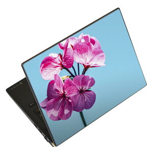 m[gp\R XLV[ XebJ[ \2Zbg \e1Zbg ǂ炩Iׂ NEC LAVIEp N1515 N1530 N1535 N1555 N1565 N1570 N1573 N1575 N1585 N153C N156D N157C LAVIE Smart N15 LAVIE Direct N15