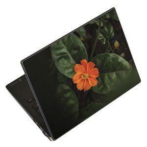 m[gp\R XLV[ XebJ[ \2Zbg \e1Zbg ǂ炩Iׂ NEC LAVIEp N1515 N1530 N1535 N1555 N1565 N1570 N1573 N1575 N1585 N153C N156D N157C LAVIE Smart N15 LAVIE Direct N15