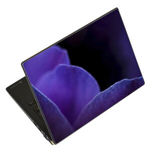 m[gp\R XLV[ XebJ[ \2Zbg \e1Zbg ǂ炩Iׂ NEC LAVIEp N1515 N1530 N1535 N1555 N1565 N1570 N1573 N1575 N1585 N153C N156D N157C LAVIE Smart N15 LAVIE Direct N15