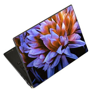m[gp\R XLV[ XebJ[ \2Zbg \e1Zbg ǂ炩Iׂ NEC LAVIEp N1515 N1530 N1535 N1555 N1565 N1570 N1573 N1575 N1585 N153C N156D N157C LAVIE Smart N15 LAVIE Direct N15