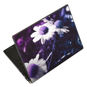 m[gp\R XLV[ XebJ[ \2Zbg \e1Zbg ǂ炩Iׂ NEC LAVIEp N1515 N1530 N1535 N1555 N1565 N1570 N1573 N1575 N1585 N153C N156D N157C LAVIE Smart N15 LAVIE Direct N15