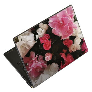 m[gp\R XLV[ XebJ[ \2Zbg \e1Zbg ǂ炩Iׂ NEC LAVIEp N1515 N1530 N1535 N1555 N1565 N1570 N1573 N1575 N1585 N153C N156D N157C LAVIE Smart N15 LAVIE Direct N15