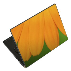 m[gp\R XLV[ XebJ[ \2Zbg \e1Zbg ǂ炩Iׂ NEC LAVIEp N1515 N1530 N1535 N1555 N1565 N1570 N1573 N1575 N1585 N153C N156D N157C LAVIE Smart N15 LAVIE Direct N15