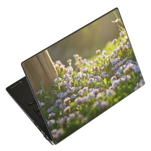 m[gp\R XLV[ XebJ[ \2Zbg \e1Zbg ǂ炩Iׂ NEC LAVIEp N1515 N1530 N1535 N1555 N1565 N1570 N1573 N1575 N1585 N153C N156D N157C LAVIE Smart N15 LAVIE Direct N15