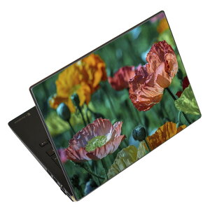 m[gp\R XLV[ XebJ[ \2Zbg \e1Zbg ǂ炩Iׂ NEC LAVIEp N1515 N1530 N1535 N1555 N1565 N1570 N1573 N1575 N1585 N153C N156D N157C LAVIE Smart N15 LAVIE Direct N15