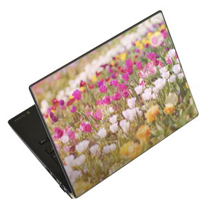 m[gp\R XLV[ XebJ[ \2Zbg \e1Zbg ǂ炩Iׂ NEC LAVIEp N1515 N1530 N1535 N1555 N1565 N1570 N1573 N1575 N1585 N153C N156D N157C LAVIE Smart N15 LAVIE Direct N15