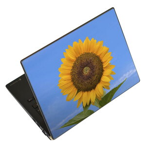 �m�[�g�p�\�R�� �X�L���V�[�� �X�e�b�J�[ �\��2���Z�b�g �\���e1���Z�b�g �ǂ��炩�I�ׂ� NEC LAVIE�p N1515 N1530 N1535 N1555 N1565 N1570 N1573 N1575 N1585 N153C N156D N157C LAVIE Smart N15 LAVIE Direct N15