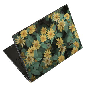 m[gp\R XLV[ XebJ[ \2Zbg \e1Zbg ǂ炩Iׂ NEC LAVIEp N1515 N1530 N1535 N1555 N1565 N1570 N1573 N1575 N1585 N153C N156D N157C LAVIE Smart N15 LAVIE Direct N15