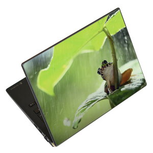 m[gp\R XLV[ XebJ[ \2Zbg \e1Zbg ǂ炩Iׂ NEC LAVIEp N1515 N1530 N1535 N1555 N1565 N1570 N1573 N1575 N1585 N153C N156D N157C LAVIE Smart N15 LAVIE Direct N15