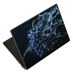 m[gp\R XLV[ XebJ[ \2Zbg \e1Zbg ǂ炩Iׂ NEC LAVIEp N1515 N1530 N1535 N1555 N1565 N1570 N1573 N1575 N1585 N153C N156D N157C LAVIE Smart N15 LAVIE Direct N15