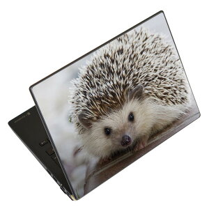 m[gp\R XLV[ XebJ[ \2Zbg \e1Zbg ǂ炩Iׂ NEC LAVIEp N1515 N1530 N1535 N1555 N1565 N1570 N1573 N1575 N1585 N153C N156D N157C LAVIE Smart N15 LAVIE Direct N15