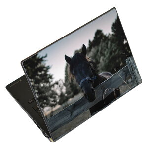 �m�[�g�p�\�R�� �X�L���V�[�� �X�e�b�J�[ �\��2���Z�b�g �\���e1���Z�b�g �ǂ��炩�I�ׂ� NEC LAVIE�p N1515 N1530 N1535 N1555 N1565 N1570 N1573 N1575 N1585 N153C N156D N157C LAVIE Smart N15 LAVIE Direct N15