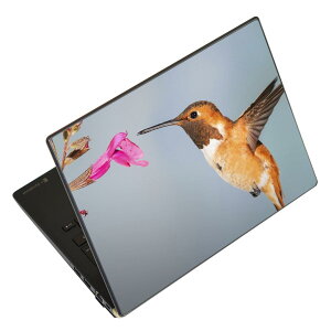 m[gp\R XLV[ XebJ[ \2Zbg \e1Zbg ǂ炩Iׂ NEC LAVIEp N1515 N1530 N1535 N1555 N1565 N1570 N1573 N1575 N1585 N153C N156D N157C LAVIE Smart N15 LAVIE Direct N15