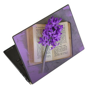 m[gp\R XLV[ XebJ[ \2Zbg \e1Zbg ǂ炩Iׂ NEC LAVIEp N1515 N1530 N1535 N1555 N1565 N1570 N1573 N1575 N1585 N153C N156D N157C LAVIE Smart N15 LAVIE Direct N15