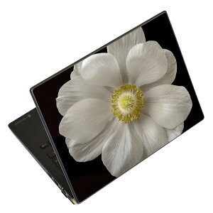 m[gp\R XLV[ XebJ[ \2Zbg \e1Zbg ǂ炩Iׂ NEC LAVIEp N1515 N1530 N1535 N1555 N1565 N1570 N1573 N1575 N1585 N153C N156D N157C LAVIE Smart N15 LAVIE Direct N15