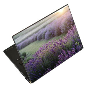 �m�[�g�p�\�R�� �X�L���V�[�� �X�e�b�J�[ �\��2���Z�b�g �\���e1���Z�b�g �ǂ��炩�I�ׂ� NEC LAVIE�p N1515 N1530 N1535 N1555 N1565 N1570 N1573 N1575 N1585 N153C N156D N157C LAVIE Smart N15 LAVIE Direct N15