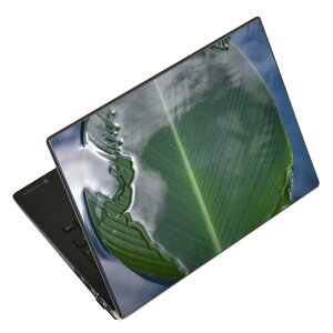 m[gp\R XLV[ XebJ[ \2Zbg \e1Zbg ǂ炩Iׂ NEC LAVIEp N1515 N1530 N1535 N1555 N1565 N1570 N1573 N1575 N1585 N153C N156D N157C LAVIE Smart N15 LAVIE Direct N15