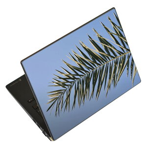 m[gp\R XLV[ XebJ[ \2Zbg \e1Zbg ǂ炩Iׂ NEC LAVIEp N1515 N1530 N1535 N1555 N1565 N1570 N1573 N1575 N1585 N153C N156D N157C LAVIE Smart N15 LAVIE Direct N15