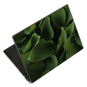 m[gp\R XLV[ XebJ[ \2Zbg \e1Zbg ǂ炩Iׂ NEC LAVIEp N1515 N1530 N1535 N1555 N1565 N1570 N1573 N1575 N1585 N153C N156D N157C LAVIE Smart N15 LAVIE Direct N15