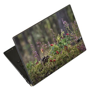 m[gp\R XLV[ 17C`܂őΉ ėpXebJ[ 2Zbg LAVIEp FMVp LIFEBOOKp Dynabookp Lenovop Thinkbookp IdeaPadp HPp Pavillonp ENVYp Elitep Dellp Vostrop Inspironp VAIOp 023583 