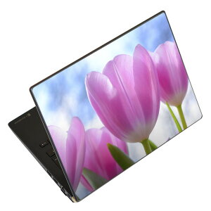 m[gp\R XLV[ XebJ[ \2Zbg \e1Zbg ǂ炩Iׂ NEC LAVIEp N1515 N1530 N1535 N1555 N1565 N1570 N1573 N1575 N1585 N153C N156D N157C LAVIE Smart N15 LAVIE Direct N15