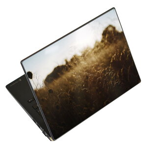 m[gp\R XLV[ XebJ[ \2Zbg \e1Zbg ǂ炩Iׂ NEC LAVIEp N1515 N1530 N1535 N1555 N1565 N1570 N1573 N1575 N1585 N153C N156D N157C LAVIE Smart N15 LAVIE Direct N15