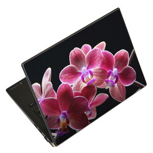 m[gp\R XLV[ XebJ[ \2Zbg \e1Zbg ǂ炩Iׂ NEC LAVIEp N1515 N1530 N1535 N1555 N1565 N1570 N1573 N1575 N1585 N153C N156D N157C LAVIE Smart N15 LAVIE Direct N15