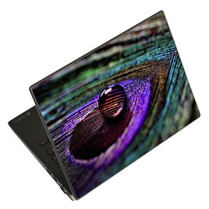 m[gp\R XLV[ XebJ[ \2Zbg \e1Zbg ǂ炩Iׂ NEC LAVIEp N1515 N1530 N1535 N1555 N1565 N1570 N1573 N1575 N1585 N153C N156D N157C LAVIE Smart N15 LAVIE Direct N15