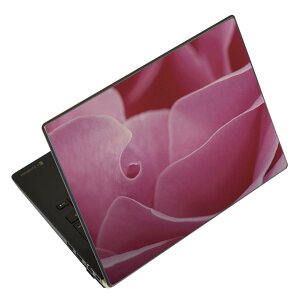 m[gp\R XLV[ XebJ[ \2Zbg \e1Zbg ǂ炩Iׂ NEC LAVIEp N1515 N1530 N1535 N1555 N1565 N1570 N1573 N1575 N1585 N153C N156D N157C LAVIE Smart N15 LAVIE Direct N15