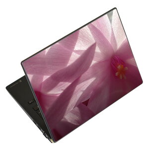 m[gp\R XLV[ XebJ[ \2Zbg \e1Zbg ǂ炩Iׂ NEC LAVIEp N1515 N1530 N1535 N1555 N1565 N1570 N1573 N1575 N1585 N153C N156D N157C LAVIE Smart N15 LAVIE Direct N15