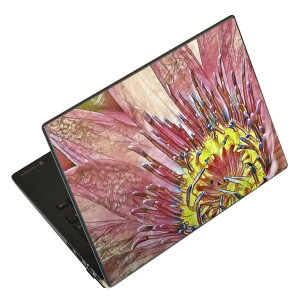 m[gp\R XLV[ XebJ[ \2Zbg \e1Zbg ǂ炩Iׂ NEC LAVIEp N1515 N1530 N1535 N1555 N1565 N1570 N1573 N1575 N1585 N153C N156D N157C LAVIE Smart N15 LAVIE Direct N15