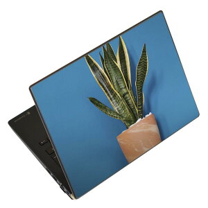 �m�[�g�p�\�R�� �X�L���V�[�� �X�e�b�J�[ �\��2���Z�b�g �\���e1���Z�b�g �ǂ��炩�I�ׂ� NEC LAVIE�p N1515 N1530 N1535 N1555 N1565 N1570 N1573 N1575 N1585 N153C N156D N157C LAVIE Smart N15 LAVIE Direct N15