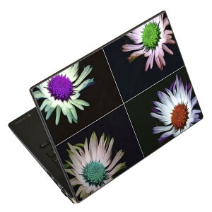 m[gp\R XLV[ XebJ[ \2Zbg \e1Zbg ǂ炩Iׂ NEC LAVIEp N1515 N1530 N1535 N1555 N1565 N1570 N1573 N1575 N1585 N153C N156D N157C LAVIE Smart N15 LAVIE Direct N15