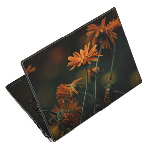 m[gp\R XLV[ 17C`܂őΉ ėpXebJ[ 2Zbg LAVIEp FMVp LIFEBOOKp Dynabookp Lenovop Thinkbookp IdeaPadp HPp Pavillonp ENVYp Elitep Dellp Vostrop Inspironp VAIOp 023698 