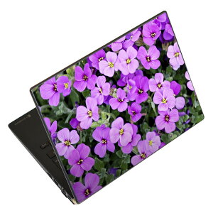 m[gp\R XLV[ XebJ[ \2Zbg \e1Zbg ǂ炩Iׂ NEC LAVIEp N1515 N1530 N1535 N1555 N1565 N1570 N1573 N1575 N1585 N153C N156D N157C LAVIE Smart N15 LAVIE Direct N15