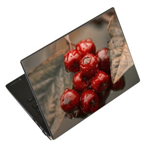 m[gp\R XLV[ XebJ[ \2Zbg \e1Zbg ǂ炩Iׂ NEC LAVIEp N1515 N1530 N1535 N1555 N1565 N1570 N1573 N1575 N1585 N153C N156D N157C LAVIE Smart N15 LAVIE Direct N15