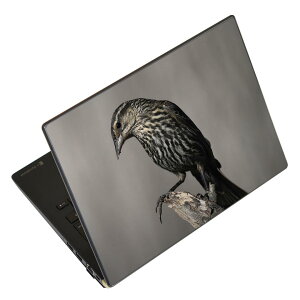 m[gp\R XLV[ XebJ[ \2Zbg \e1Zbg ǂ炩Iׂ NEC LAVIEp N1515 N1530 N1535 N1555 N1565 N1570 N1573 N1575 N1585 N153C N156D N157C LAVIE Smart N15 LAVIE Direct N15