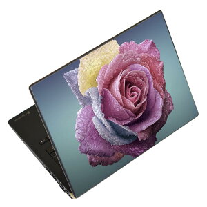 m[gp\R XLV[ XebJ[ \2Zbg \e1Zbg ǂ炩Iׂ NEC LAVIEp N1515 N1530 N1535 N1555 N1565 N1570 N1573 N1575 N1585 N153C N156D N157C LAVIE Smart N15 LAVIE Direct N15