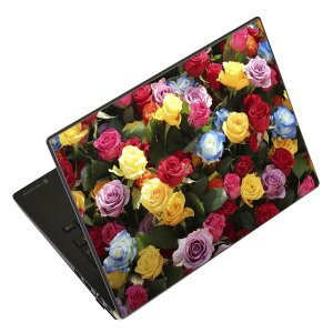 �m�[�g�p�\�R�� �X�L���V�[�� �X�e�b�J�[ �\��2���Z�b�g �\���e1���Z�b�g �ǂ��炩�I�ׂ� NEC LAVIE�p N1515 N1530 N1535 N1555 N1565 N1570 N1573 N1575 N1585 N153C N156D N157C LAVIE Smart N15 LAVIE Direct N15