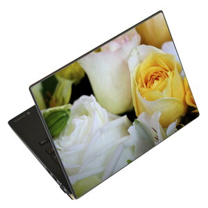 m[gp\R XLV[ XebJ[ \2Zbg \e1Zbg ǂ炩Iׂ NEC LAVIEp N1515 N1530 N1535 N1555 N1565 N1570 N1573 N1575 N1585 N153C N156D N157C LAVIE Smart N15 LAVIE Direct N15