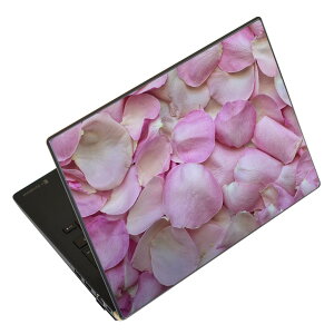 m[gp\R XLV[ XebJ[ \2Zbg \e1Zbg ǂ炩Iׂ NEC LAVIEp N1515 N1530 N1535 N1555 N1565 N1570 N1573 N1575 N1585 N153C N156D N157C LAVIE Smart N15 LAVIE Direct N15