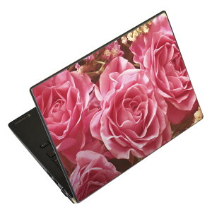 m[gp\R XLV[ XebJ[ \2Zbg \e1Zbg ǂ炩Iׂ NEC LAVIEp N1515 N1530 N1535 N1555 N1565 N1570 N1573 N1575 N1585 N153C N156D N157C LAVIE Smart N15 LAVIE Direct N15