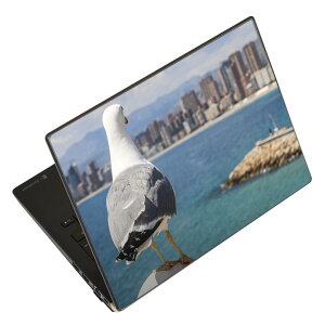 m[gp\R XLV[ XebJ[ \2Zbg \e1Zbg ǂ炩Iׂ NEC LAVIEp N1515 N1530 N1535 N1555 N1565 N1570 N1573 N1575 N1585 N153C N156D N157C LAVIE Smart N15 LAVIE Direct N15