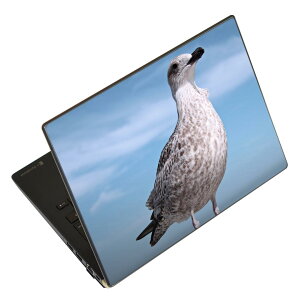 m[gp\R XLV[ XebJ[ \2Zbg \e1Zbg ǂ炩Iׂ NEC LAVIEp N1515 N1530 N1535 N1555 N1565 N1570 N1573 N1575 N1585 N153C N156D N157C LAVIE Smart N15 LAVIE Direct N15