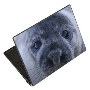 m[gp\R XLV[ XebJ[ \2Zbg \e1Zbg ǂ炩Iׂ NEC LAVIEp N1515 N1530 N1535 N1555 N1565 N1570 N1573 N1575 N1585 N153C N156D N157C LAVIE Smart N15 LAVIE Direct N15