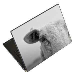 ノートパソコン スキンシール ステッカー 表面2枚セット 表裏各1枚セット どちらか選べる NEC LAVIE用 N1515 N1530 N1535 N1555 N1565 N1570 N1573 N1575 N1585 N153C N156D N157C LAVIE Smart N15 LAVIE Direct N15