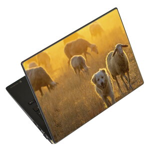 �m�[�g�p�\�R�� �X�L���V�[�� �X�e�b�J�[ �\��2���Z�b�g �\���e1���Z�b�g �ǂ��炩�I�ׂ� NEC LAVIE�p N1515 N1530 N1535 N1555 N1565 N1570 N1573 N1575 N1585 N153C N156D N157C LAVIE Smart N15 LAVIE Direct N15